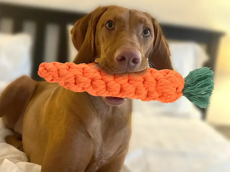 Types of Dog Chew Toys