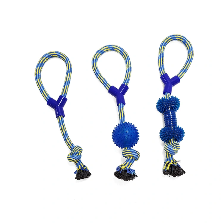 Molar Dog Rope Toy Pack